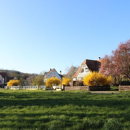 Romantik-Home Nordelsass - Ferienwohnung Fuer Selbstversorger Oberhoffen-les-Wissembourg Eksteriør billede