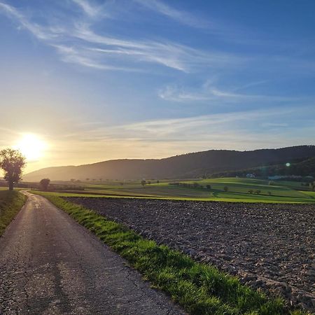 Romantik-Home Nordelsass - Ferienwohnung Fuer Selbstversorger Oberhoffen-les-Wissembourg Eksteriør billede