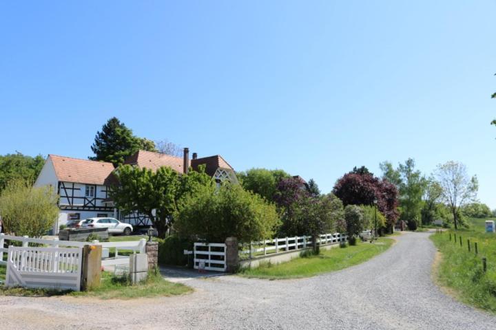 Romantik-Home Nordelsass - Ferienwohnung Fuer Selbstversorger Oberhoffen-les-Wissembourg Eksteriør billede