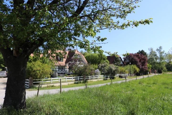 Romantik-Home Nordelsass - Ferienwohnung Fuer Selbstversorger Oberhoffen-les-Wissembourg Eksteriør billede