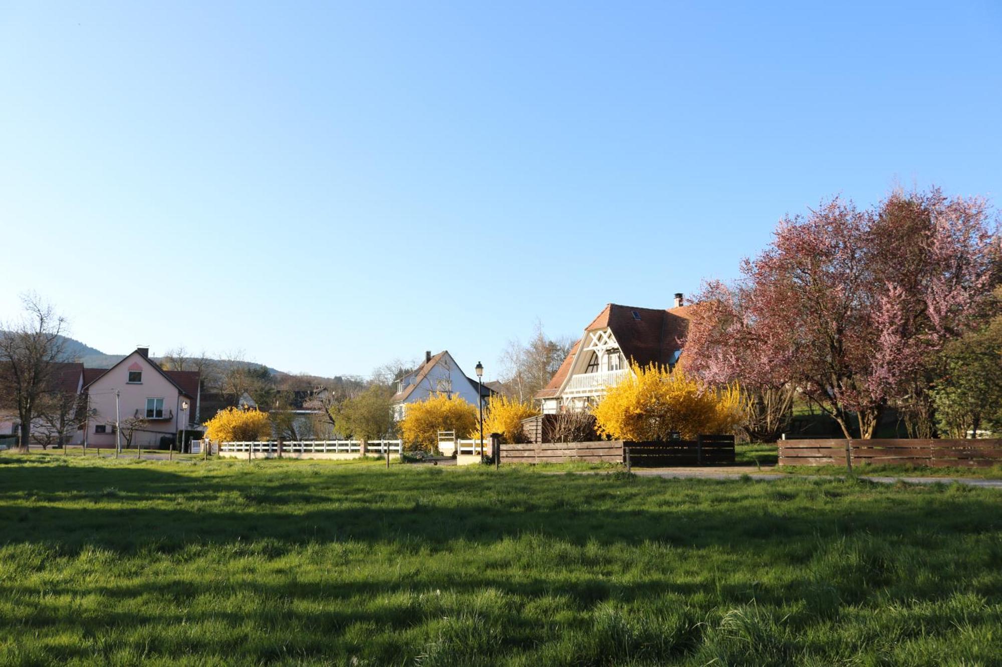 Romantik-Home Nordelsass - Ferienwohnung Fuer Selbstversorger Oberhoffen-les-Wissembourg Eksteriør billede